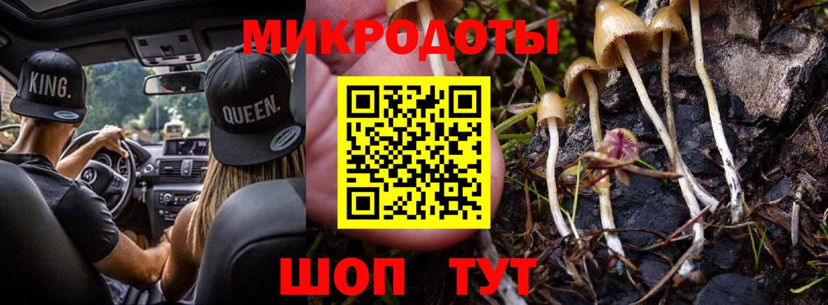Галлюциногенные грибы MAGIC MUSHROOMS Приморско-Ахтарск