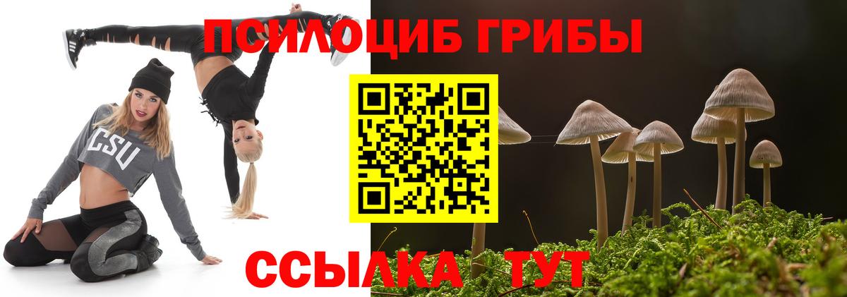 Галлюциногенные грибы GOLDEN TEACHER  купить наркотики цена  Приморско-Ахтарск  Вход с VPN 